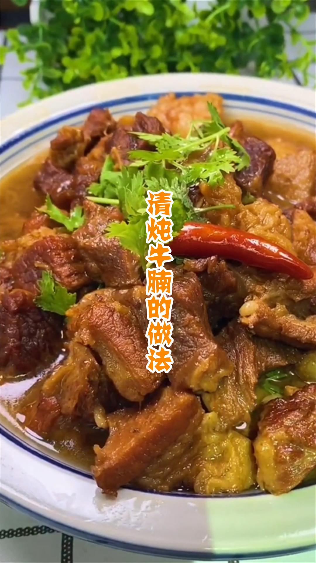 清炖牛腩的做法