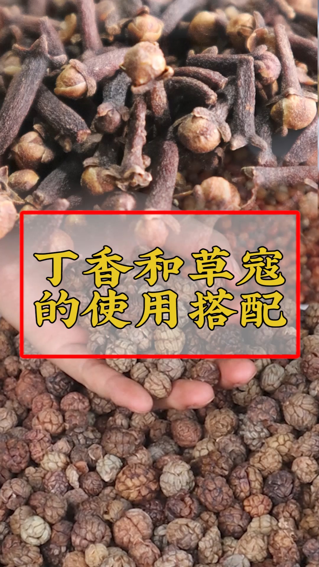 #卤菜培训#很多香料都是有互补性的,也成就了很多经典搭配,你们知道有哪些吗?