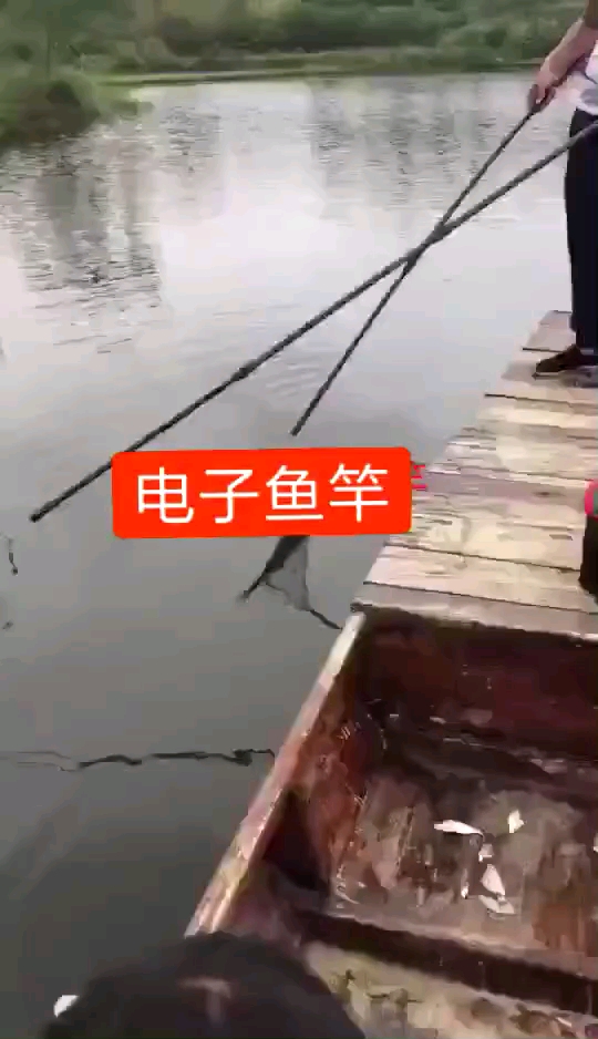 电子鱼竿