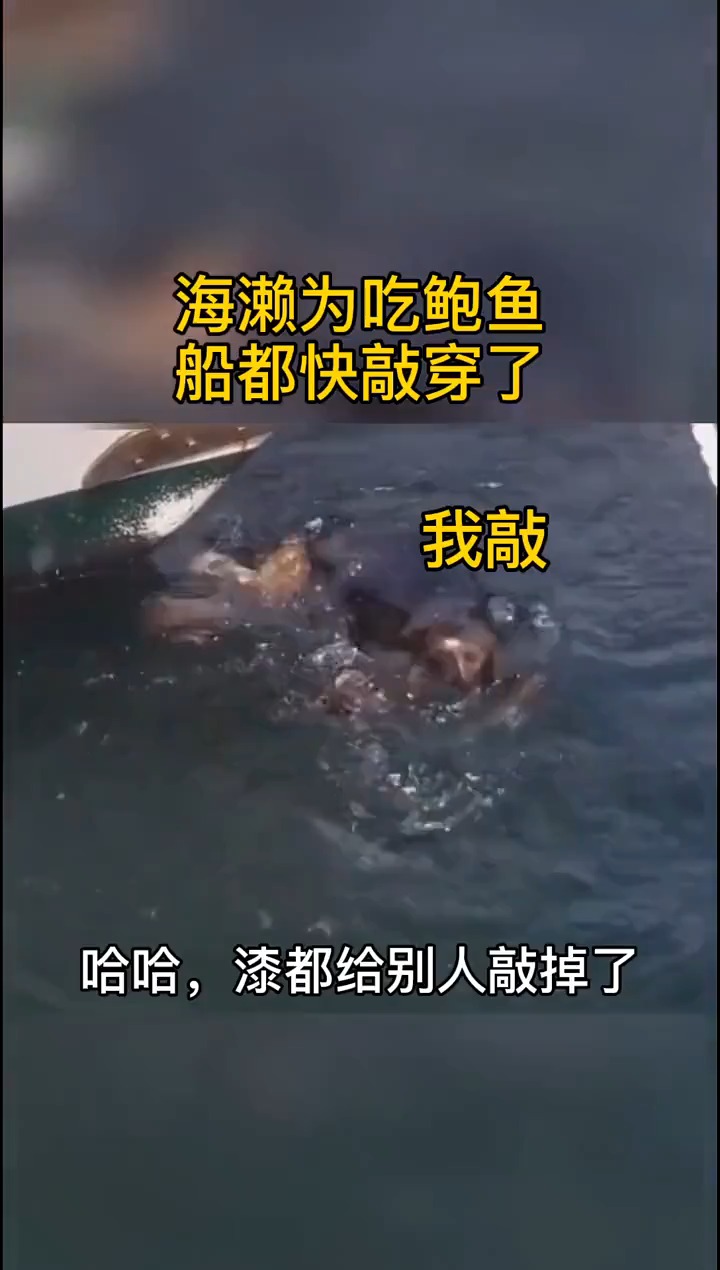 #搞笑视频#哈哈哈，这鲍鱼可真好吃
