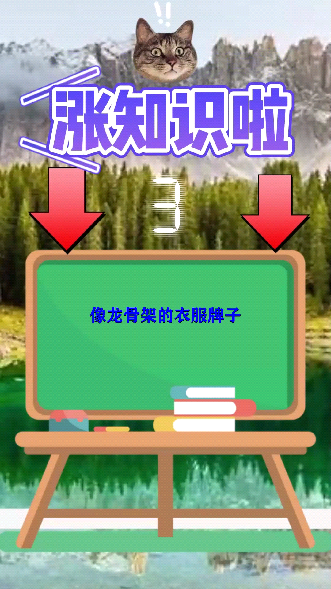 像龙骨架的衣服牌子是什么