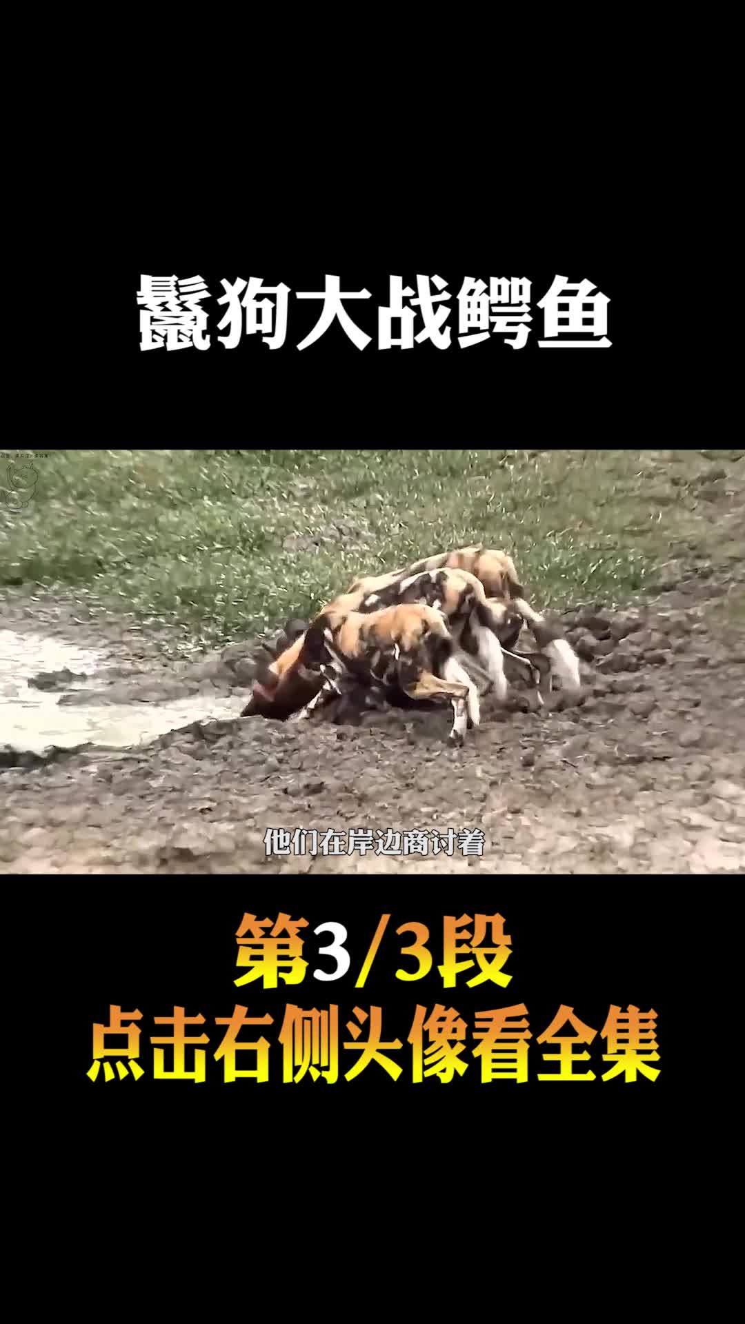 竖屏3