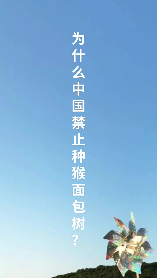 为什么中国禁止种猴面包树