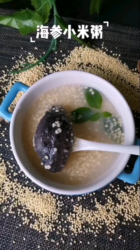 #夏天就要这么过# 天热最爱喝的海参小米粥,做法简单,营养美味,老少爱吃