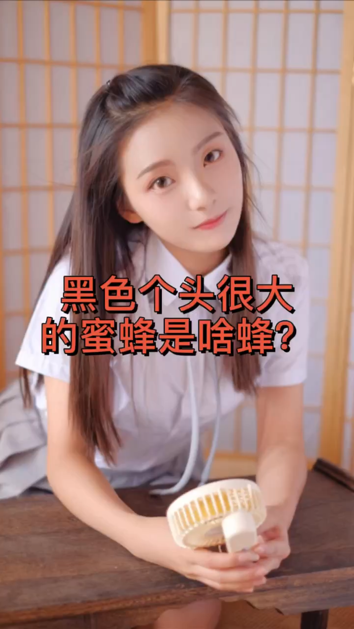 黑色个头很大的蜜蜂是啥蜂