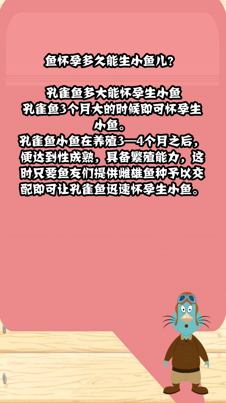 鱼怀孕多久能生小鱼儿?