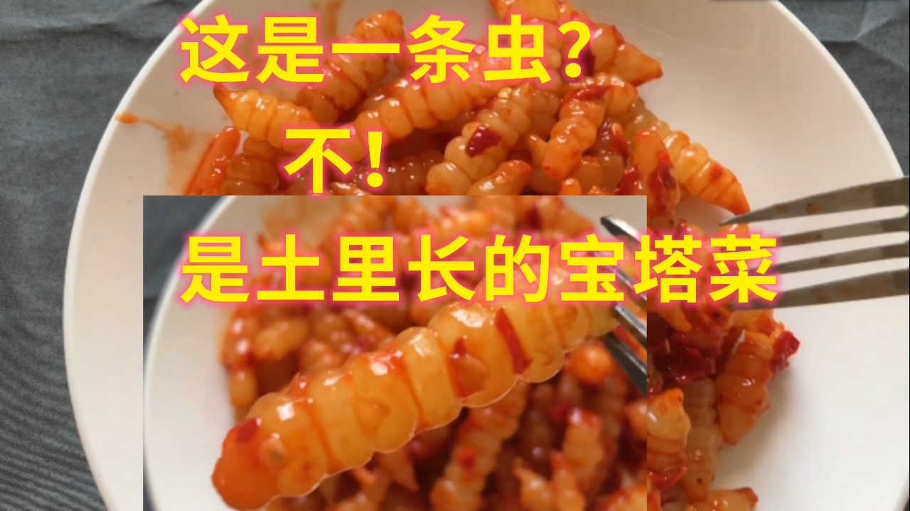 #美食#试吃拼多多红油宝塔菜,是不是很像虫?