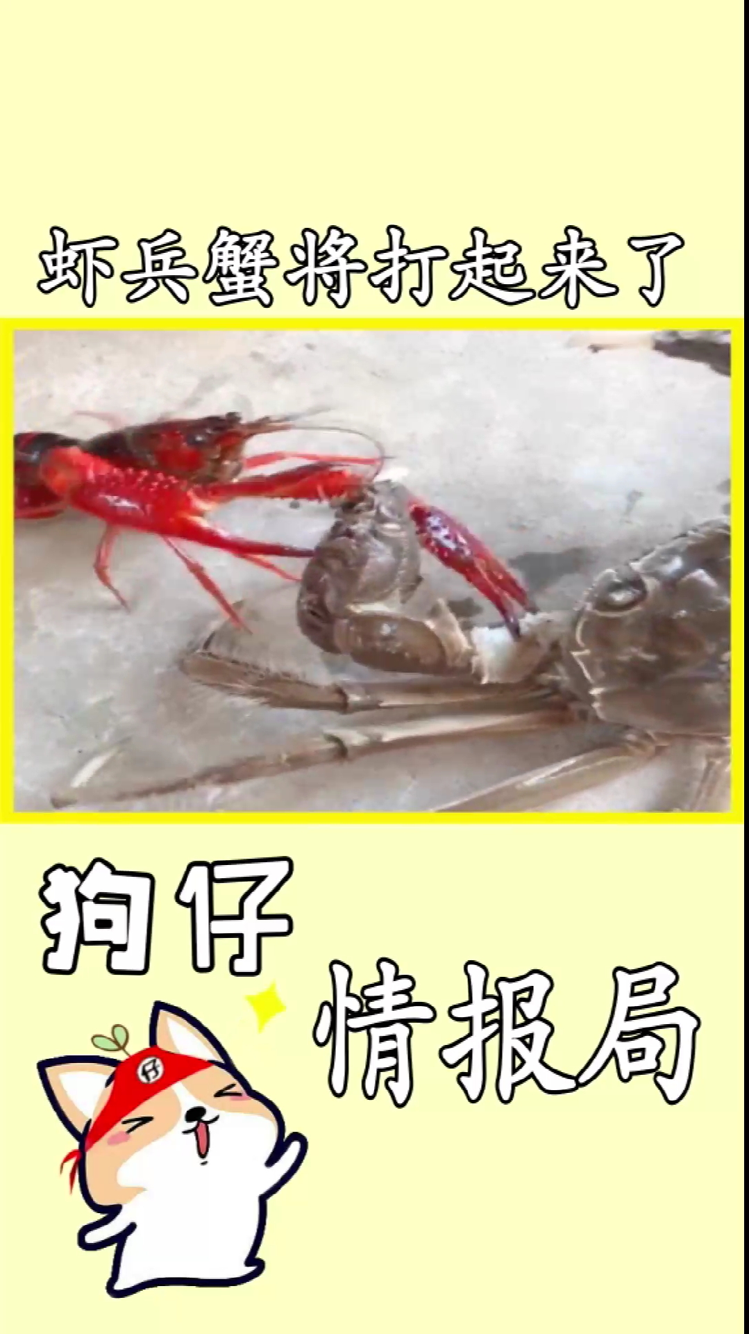 左勾拳,右勾拳