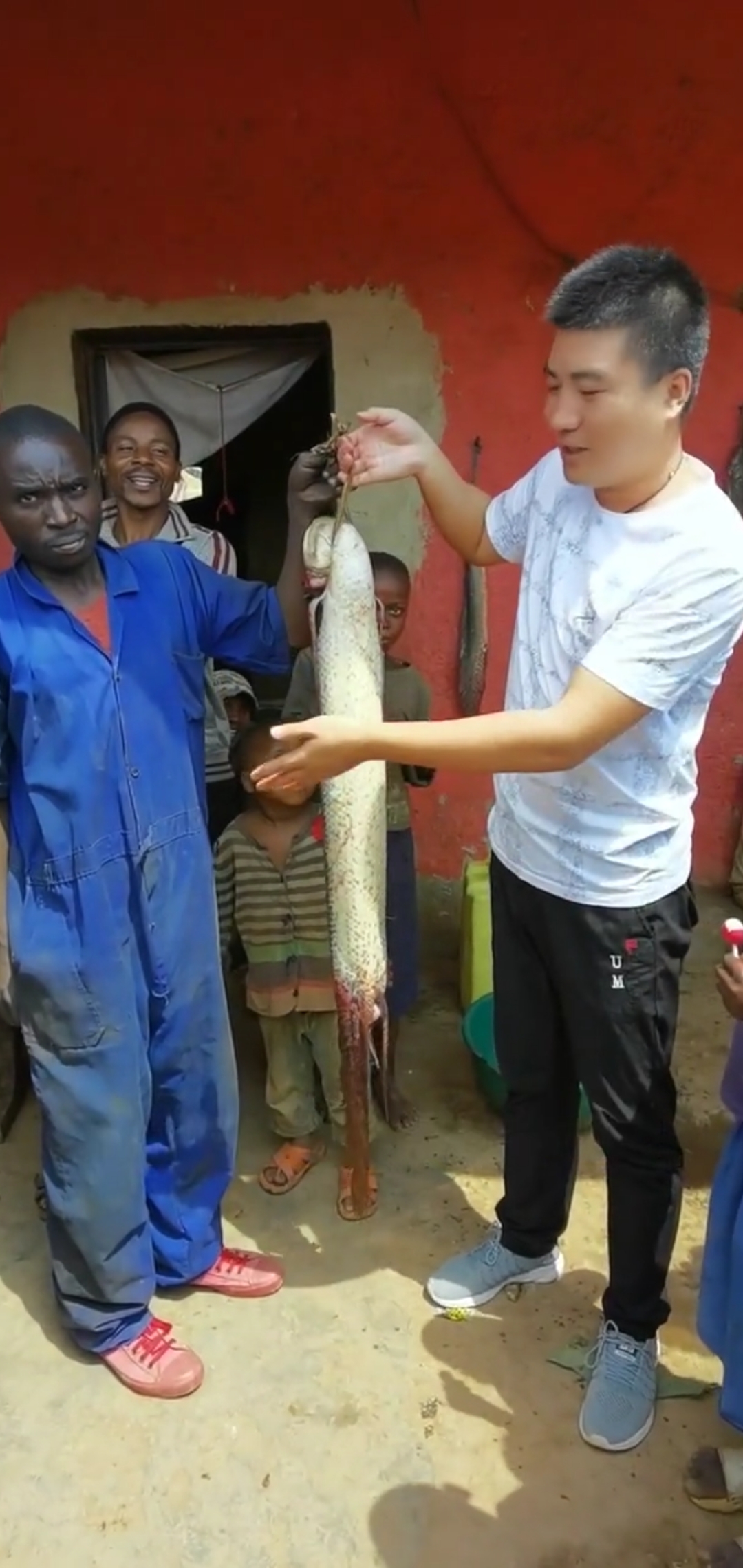 在非洲第一次见这么大的肺鱼,能吃吗