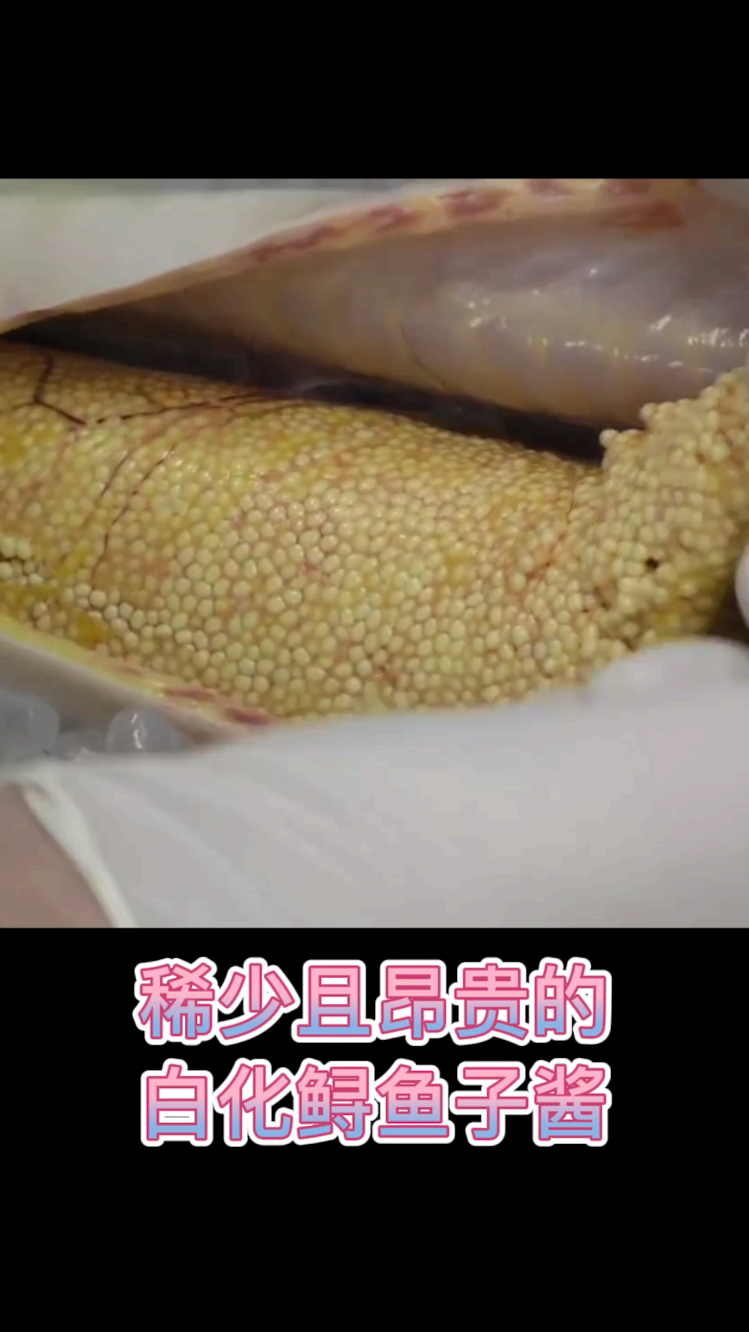 稀少且昂贵的白化鲟鱼子酱