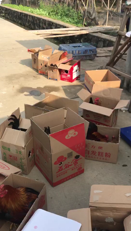 一单大生意,还有想要的吗?