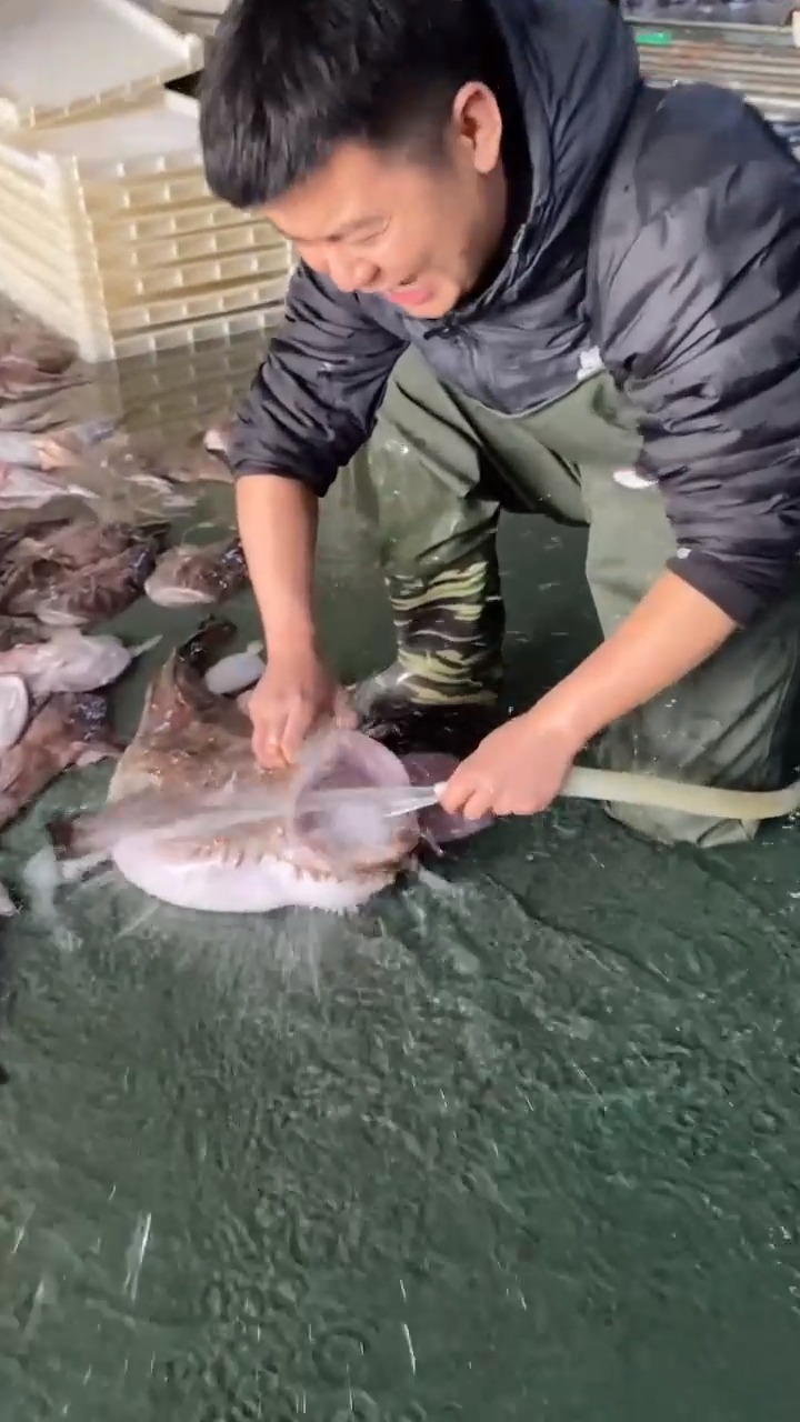 #美食记#深海安康鱼 鱼肝被誉为海中鹅肝 鱼肚堪比鱼胶满胶质 肉里没有刺适合孩子吃