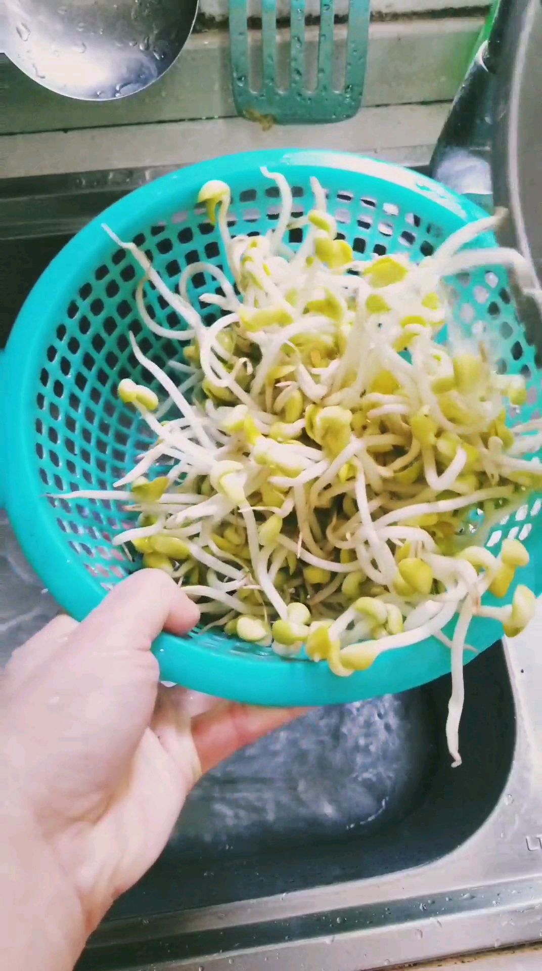 我的早餐日记,5月7日,黄豆芽炸酱面