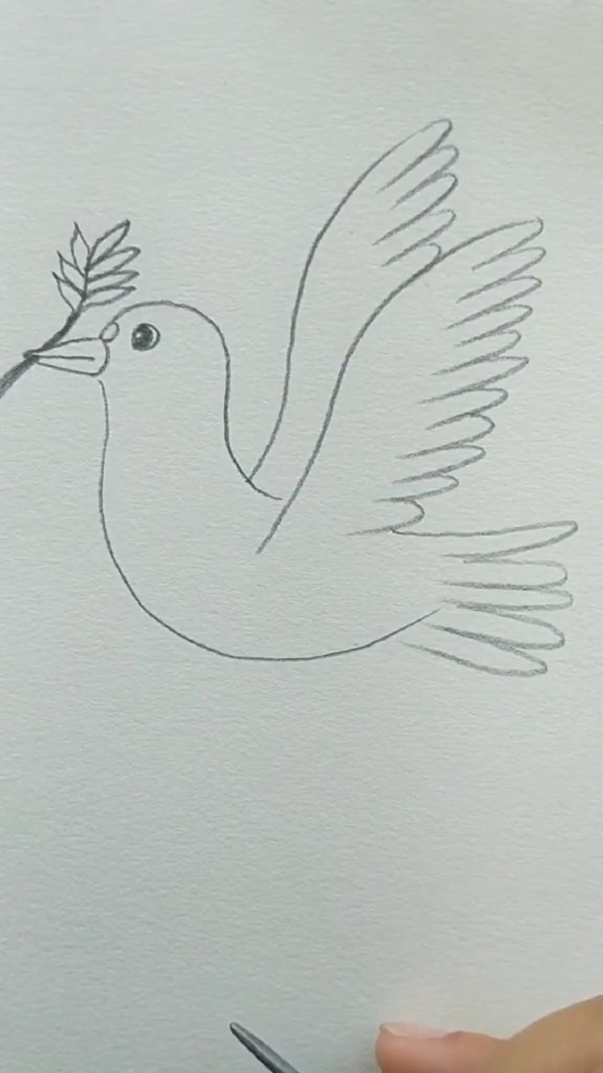 #创意简笔画#飞翔中的大白鹅