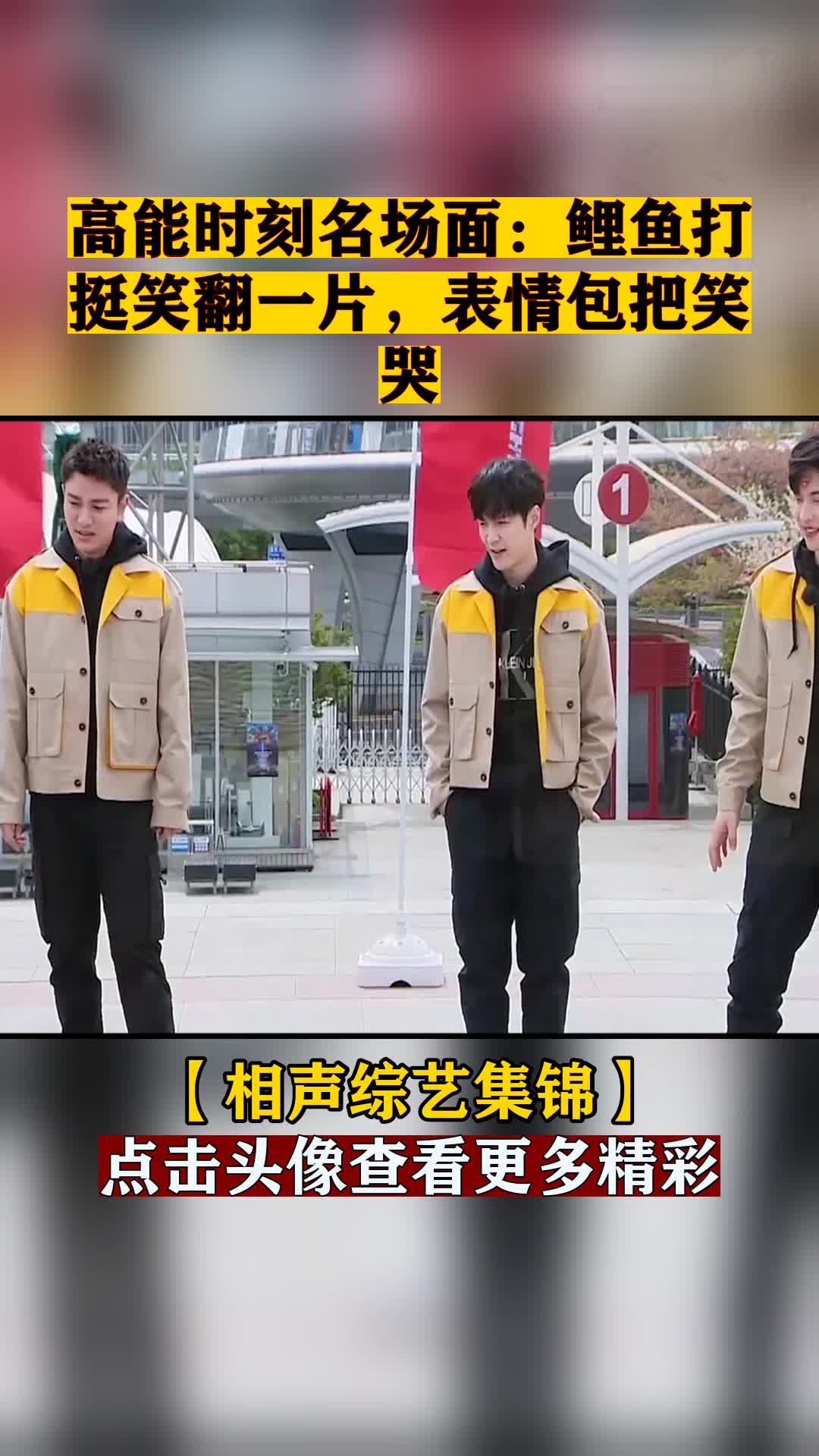 高能时刻名场面:鲤鱼打挺笑翻一片,表情包把笑哭
