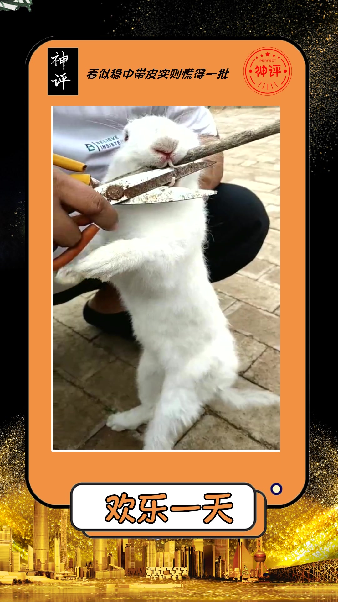 #搞笑#主人给兔子剪牙,原来兔子的牙有这么长吗?就和刀一样!