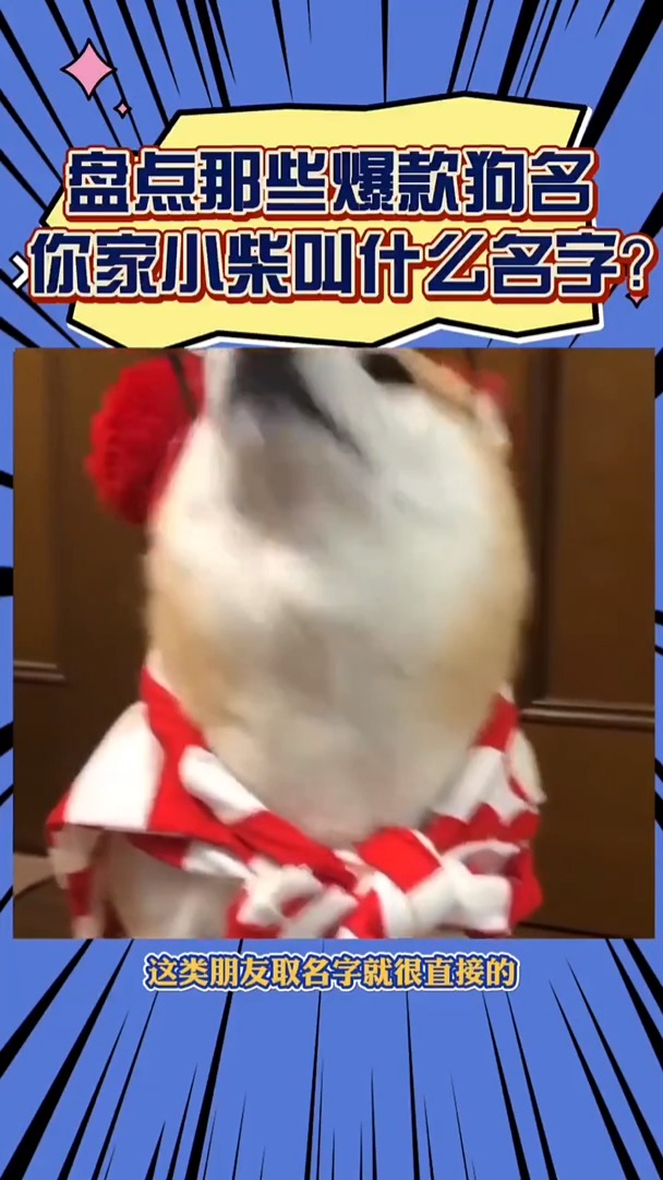 #我要上热门#盘点那些爆款狗名,你家小柴叫什么名字呢?