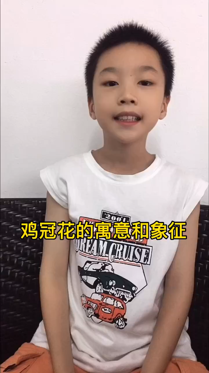 鸡冠花的寓意和象征是什么?