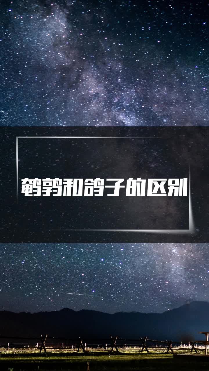鹌鹑和鸽子的区别