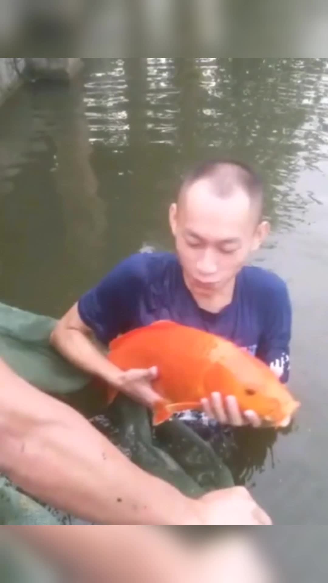 这条红鲤鱼9斤多,我给600他都舍不得卖给我,是钱给少了