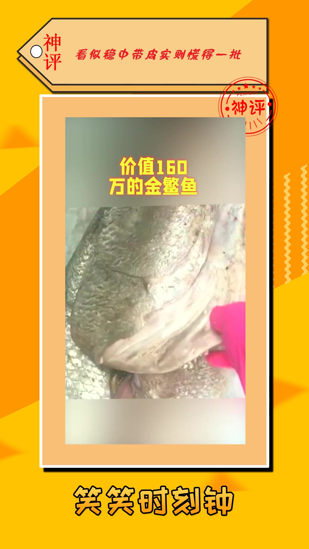#我要上热门#价值160万的金鳘鱼,自从钓上来之后,就再也不动了