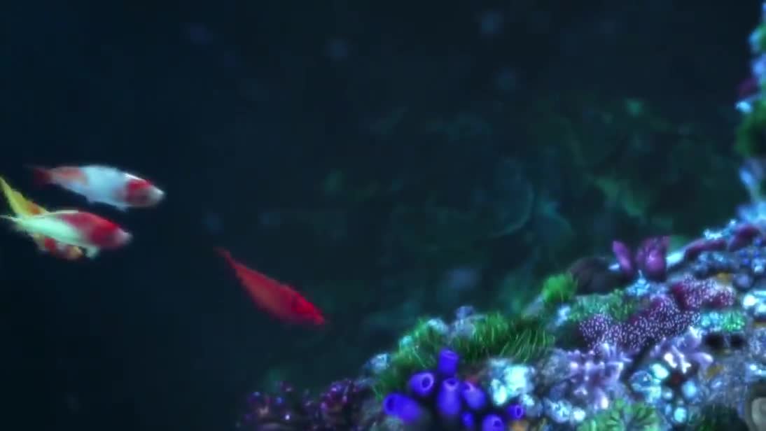 追鱼传奇:鲤鱼精看中人类的笛子,直接从人类手中抢走笛子