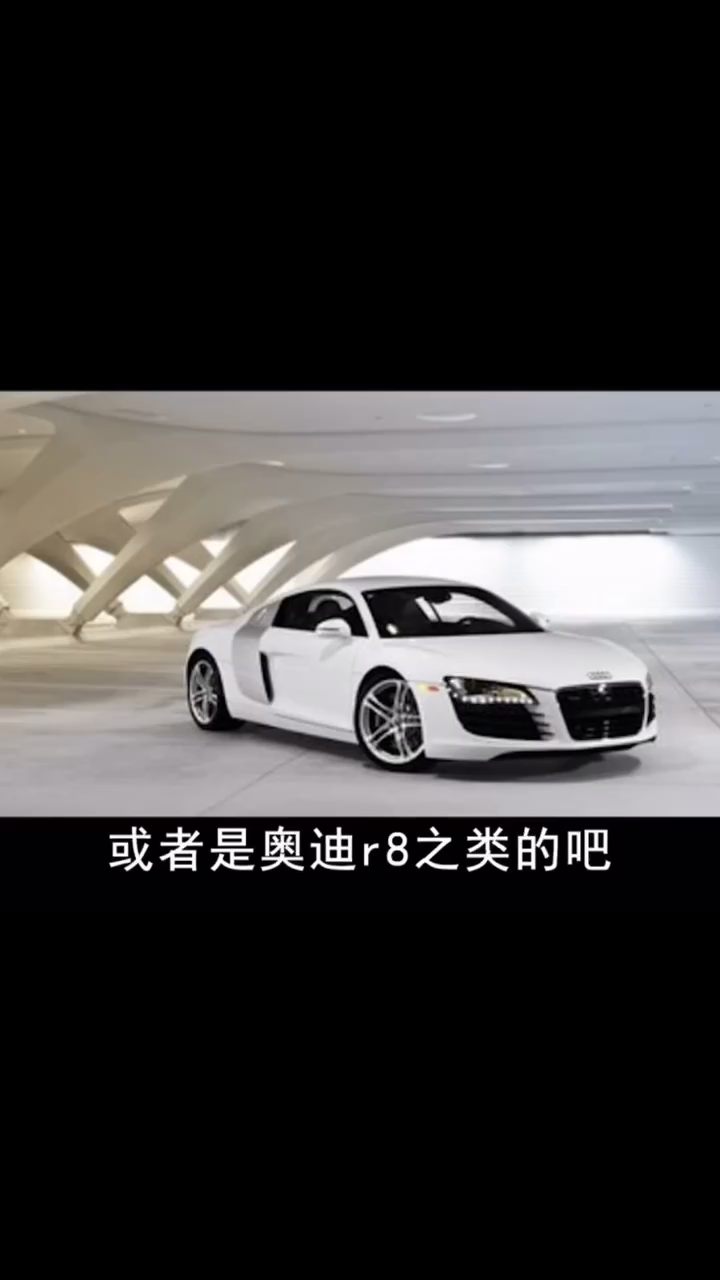 世界上最贵的奥迪派克峰