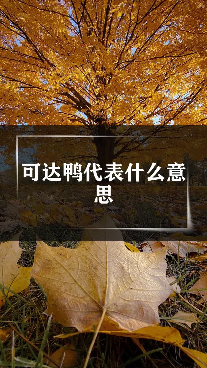 可达鸭代表什么意思