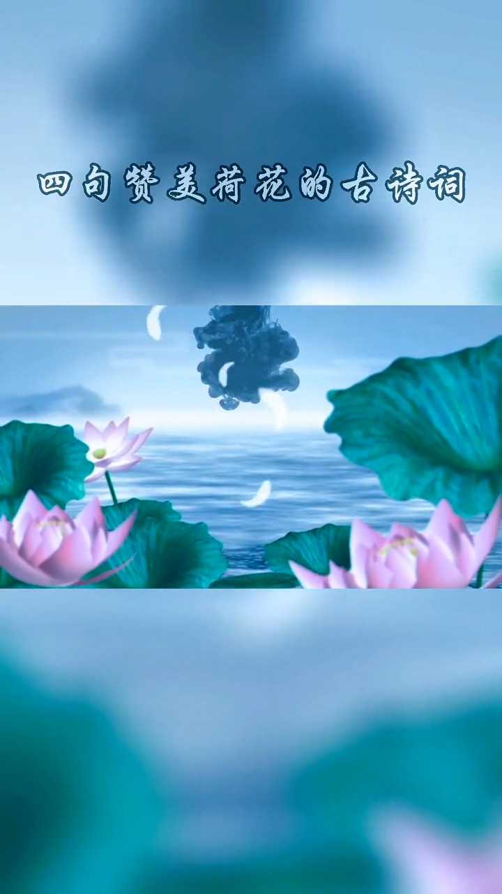 赞美荷花的诗句你知道