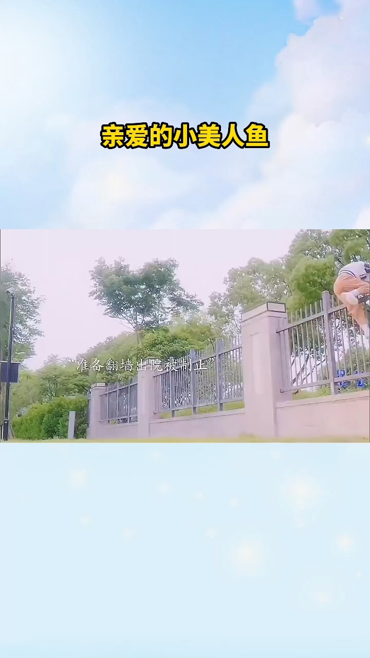 亲爱的小美人鱼