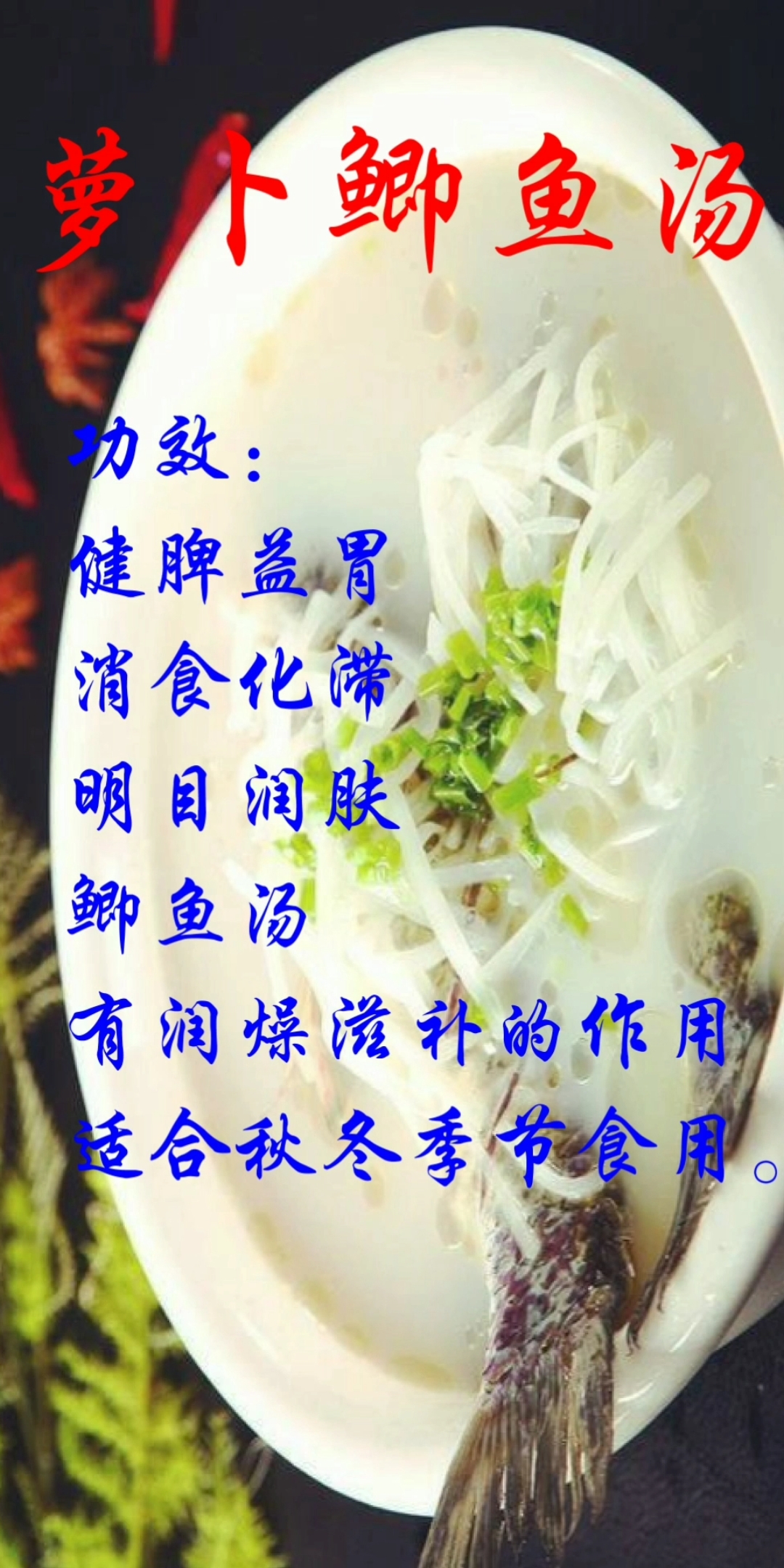 #食疗养生#女人养生巧食补,养生汤水有哪些-萝卜鲫鱼汤