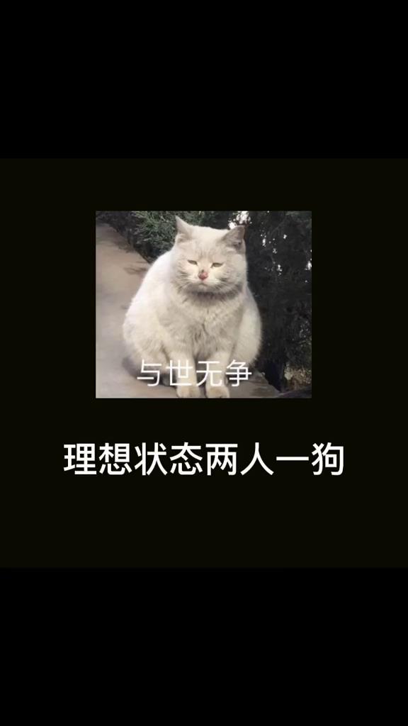 #情侣 #情头 #情侣头像 理想状态两人一狗