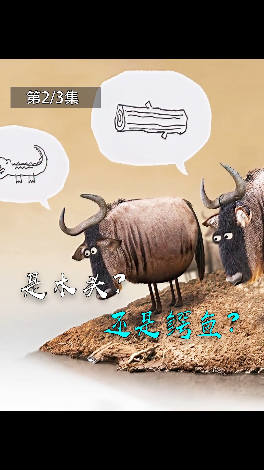 #好看电影#【爆笑动画短片】这是鳄鱼还是木头!永远不要跟傻瓜去争论!