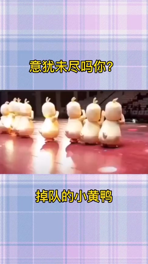 #搞笑段子#掉队的小黄鸭,这是意犹未尽吗?