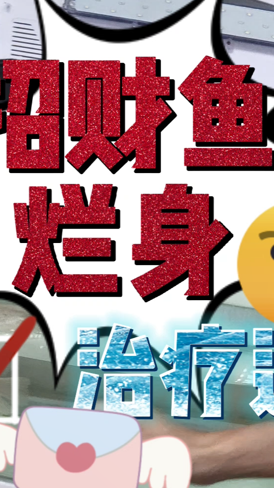 #热带鱼#这招财鱼好可怜,公司的人搬去其他地方发财,丢它在那等死