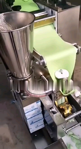 饺子机已经就位,刚做好的菠菜面饺子,看起来不错吧