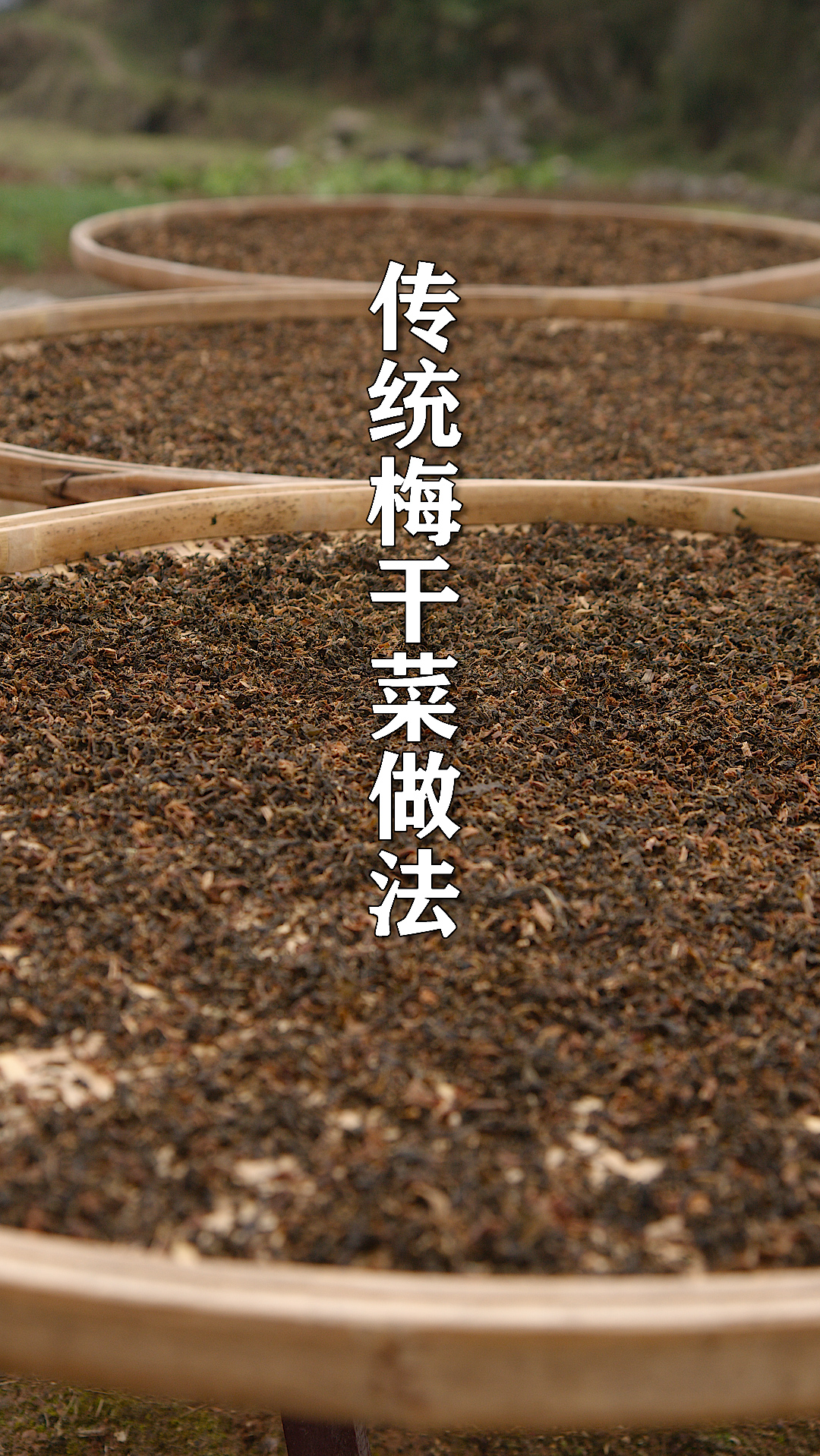 春天的青菜太多吃不完,从发酵到三蒸三晒后,做成梅菜扣肉,梅菜拌饭都能吃三碗