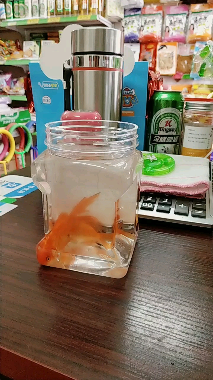 一个可爱的小朋友,送我两条金鱼