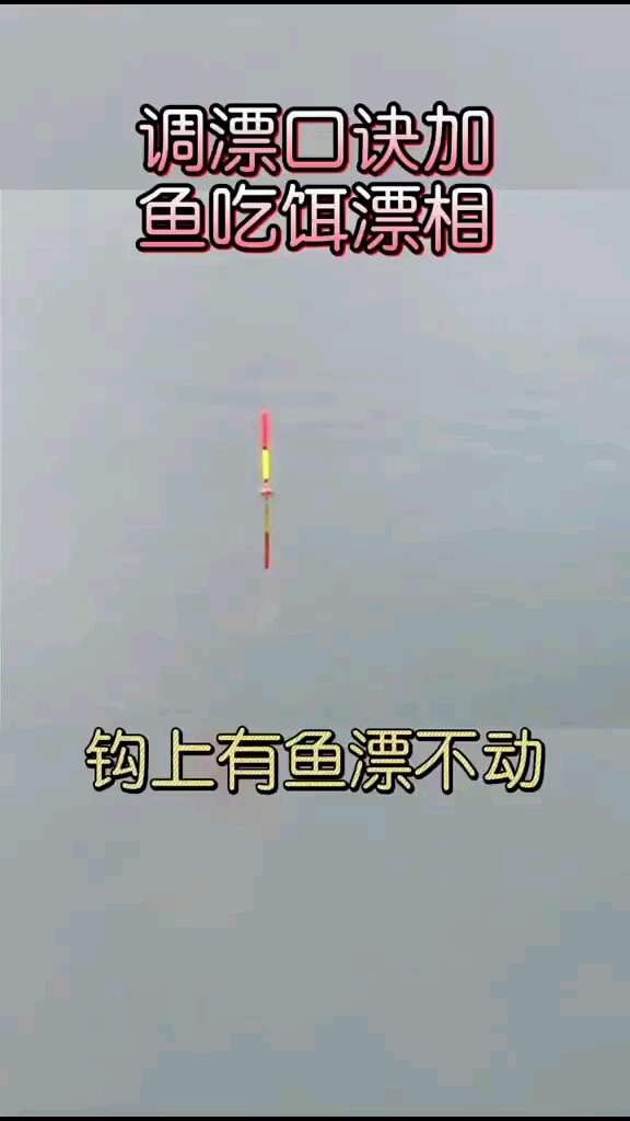 调漂口诀钩上有鱼鱼不动怎么办