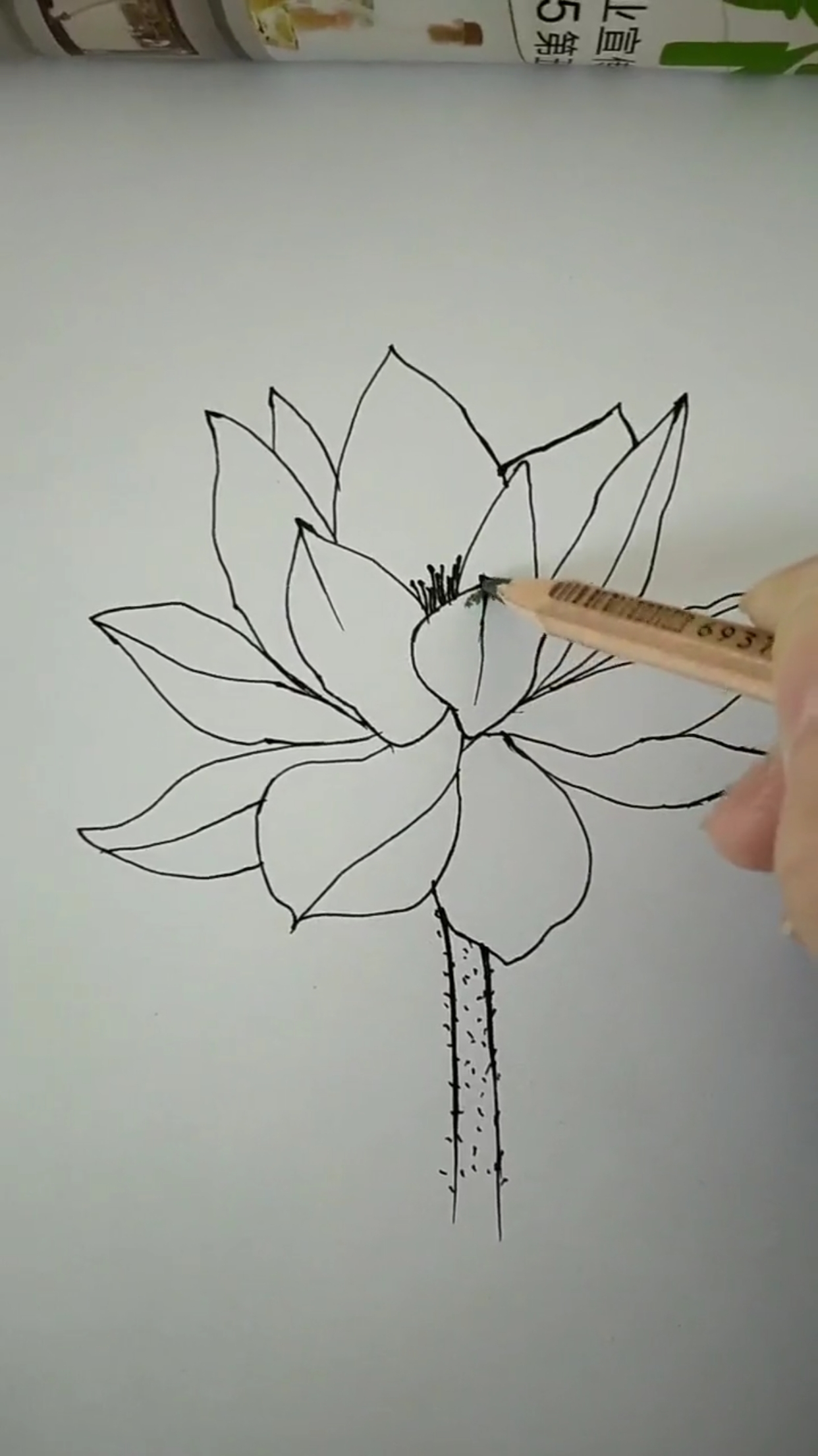 #创意简笔画#莲花不同画法你学会了吗