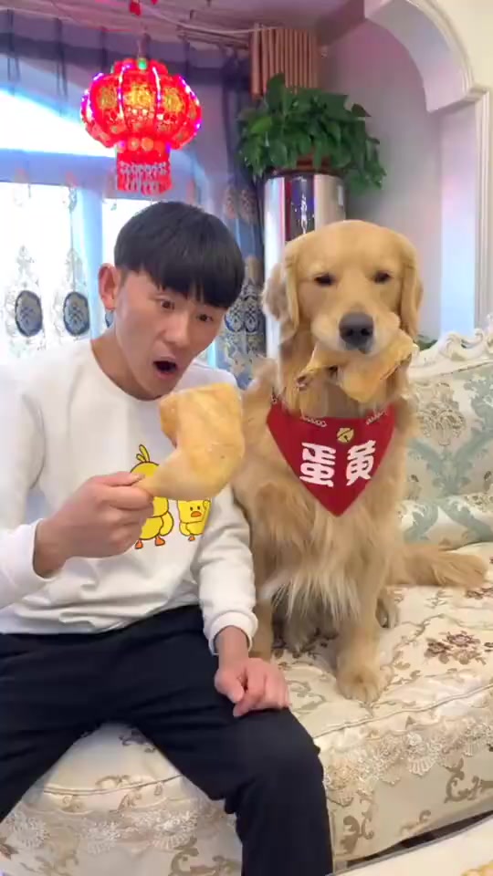 #搞笑段子#这鸡腿吃的 没谁了