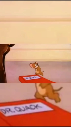 汤姆是蠢驴
