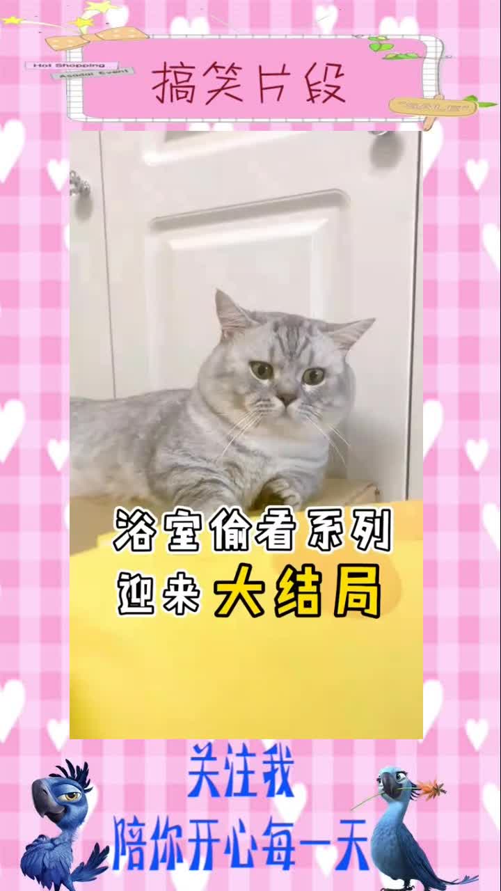 #搞笑段子#布丁的青春结束了