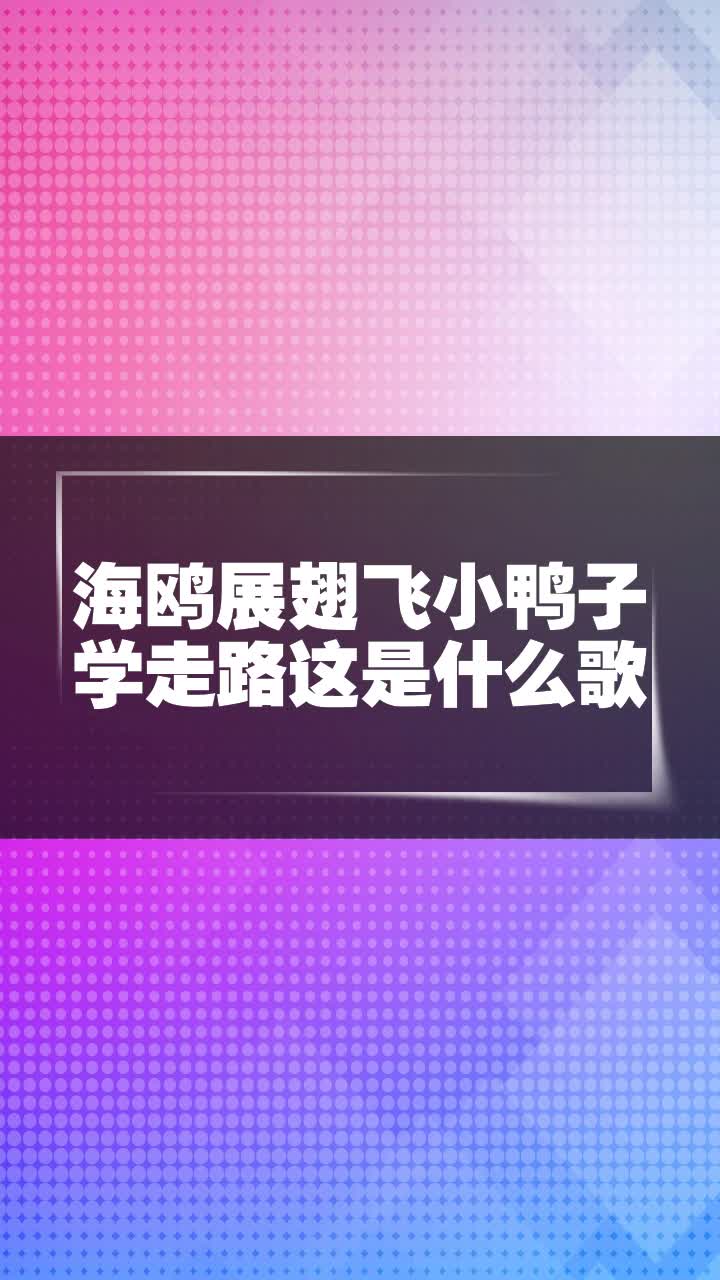 海鸥展翅飞小鸭子学走路这是什么歌