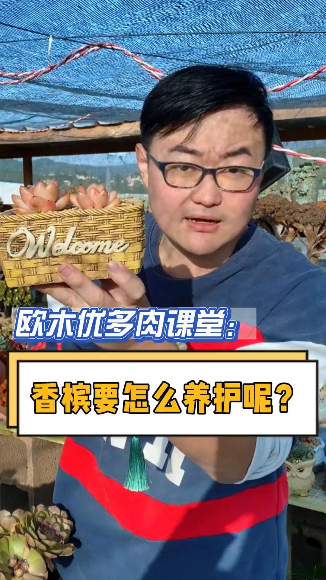 #有一种可爱叫多肉!#香槟耐旱耐寒耐热,它的养护要注意那些细节呢?这个视频告诉你#多肉#多