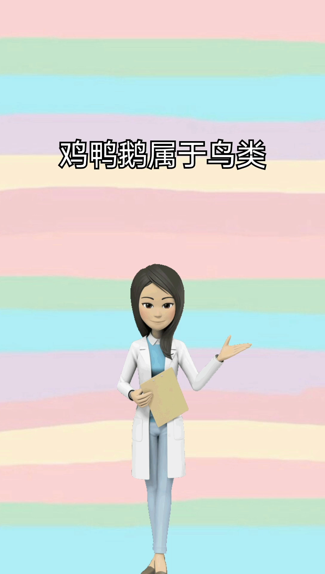 鸡鸭鹅属于什么类动物