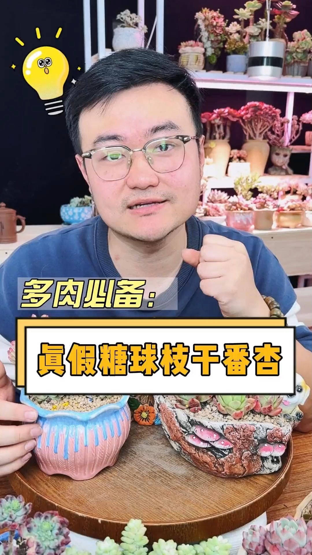 #有一种可爱叫多肉!#现在很多多肉都是以假乱真的,看看你中招了没?