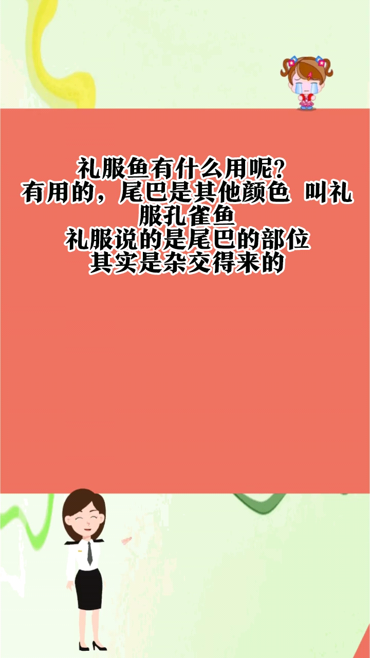 礼服鱼有什么用呢?