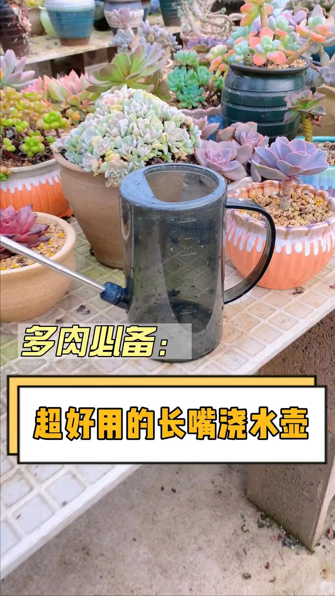 #有一种可爱叫多肉!#家里种花养多肉的,你需要这样一个好用的长嘴浇水壶,方便又实用#多肉#