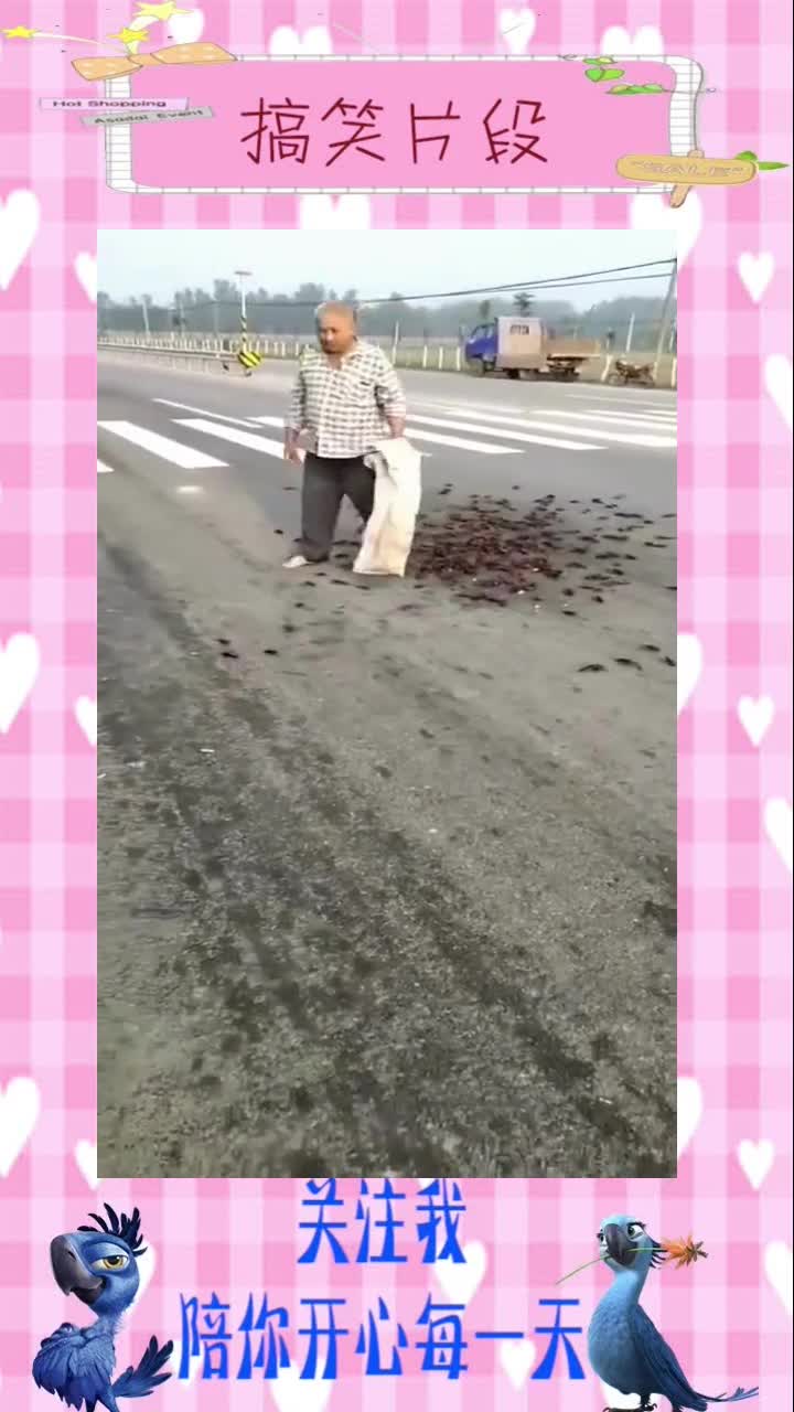要么拿回家吃,要么放生,干嘛把龙虾活生生的踩死。,搞笑段子